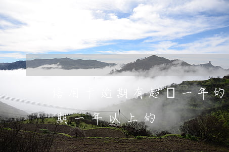 信用卡逾期有超過一年的么(有沒有信用卡逾期一年以上的)