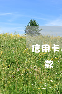 信用卡逾期有車怎么辦(信用卡逾期可以用車貸款嗎)