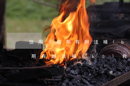 信用卡逾期有辦法補(bǔ)救嗎(信用卡逾期有辦法補(bǔ)救嗎嗎)