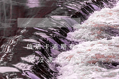 信用卡逾期有追訴期沒-信用卡逾期有追訴期沒還怎么辦