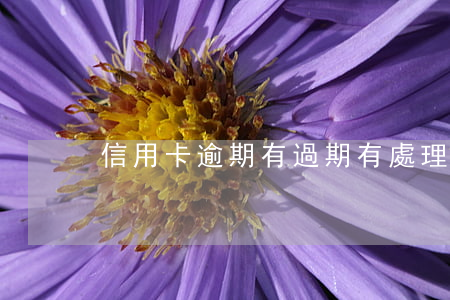 信用卡逾期有過期(有處理信用卡逾期的嗎)