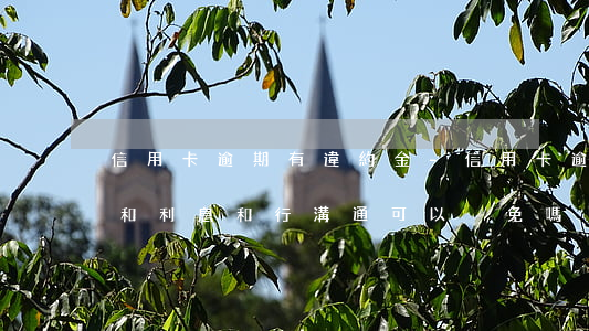 信用卡逾期有違約金-信用卡逾期有違約金和利息和行溝通可以減免嗎