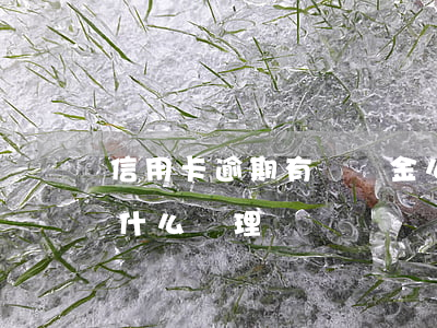 信用卡逾期有違約金么(今年的信用卡逾期有什么處理)