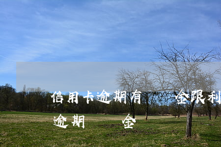 信用卡逾期有違約金跟利息合法嗎-信用卡 逾期違約金