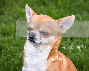信用卡逾期有還會(huì)被抓嗎 被抓了信用卡逾期