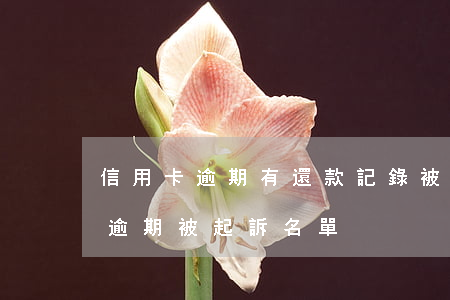 信用卡逾期有還款記錄被起訴 怎么查信用卡逾期被起訴名單