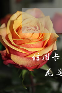 信用卡逾期有錢花被關(guān)閉-有錢花逾期凍結(jié)信用卡