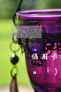 信用卡逾期有額度用不了(信用卡逾期會(huì)降低信用額度嗎)