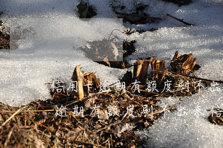 信用卡逾期有额度刷不出来信用卡-信用卡逾期有额度刷不出来信用卡怎么办