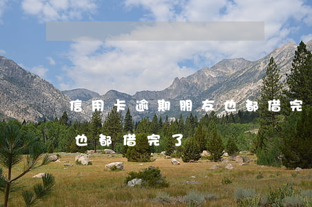 信用卡逾期朋友也都借完了(信用卡逾期朋友也都借完了)