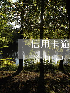 信用卡逾期朋友幫忙協(xié)商(信用卡逾期已經(jīng)交給第三方,如何協(xié)商)