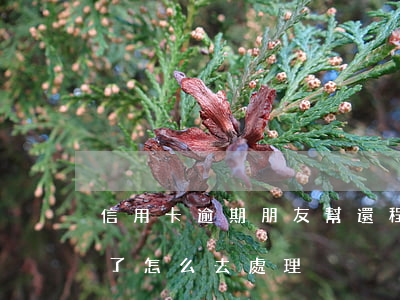 信用卡逾期朋友幫還程序(信用卡逾期了還完了怎么去處理)