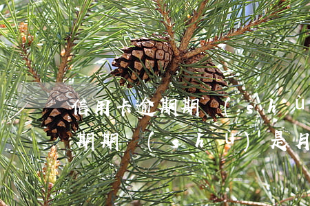 信用卡逾期期數(shù)是月嗎（信用卡逾期期數(shù)是月嗎）