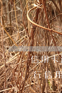 信用卡逾期期貸款房能拍賣嗎 房貸不逾期銀行信用貸未還會不會拍賣房子