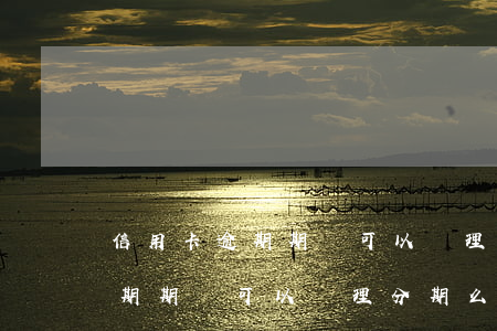 信用卡逾期期間可以辦理分期么-信用卡逾期期間可以辦理分期么嗎
