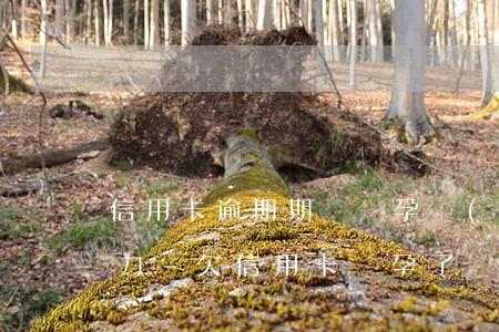 信用卡逾期期間懷孕沒(méi)有償還能力-欠信用卡懷孕了會(huì)坐牢嗎