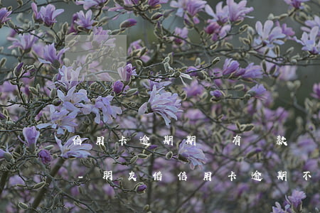 信用卡逾期期間有還款會(huì)起訴嗎-朋友借信用卡逾期不還可以起訴嗎