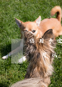 信用卡逾期期限 信用卡逾期期限一年還清了還可以買房子嗎