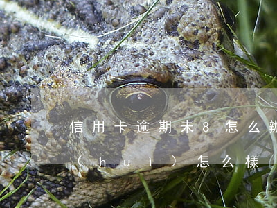 信用卡逾期未8怎么辦 信用卡8萬逾期了會(huì)怎么樣