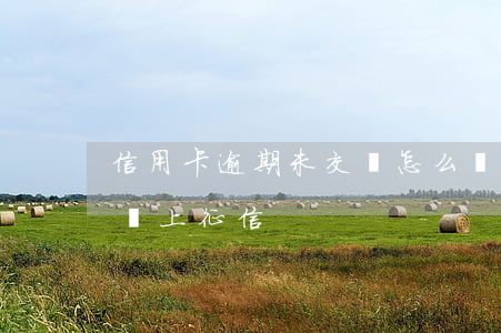信用卡逾期未交會怎么樣(交信用卡逾期多久會上征信)