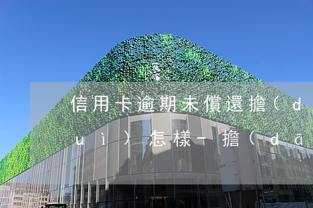 信用卡逾期未償還擔(dān)保人會(huì)怎樣-擔(dān)保人信用卡有欠款