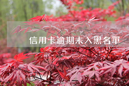 信用卡逾期未入黑名單
