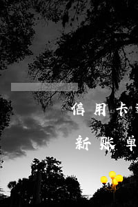 信用卡逾期未出最新账单(信用卡银行未出最新账单什么意思)