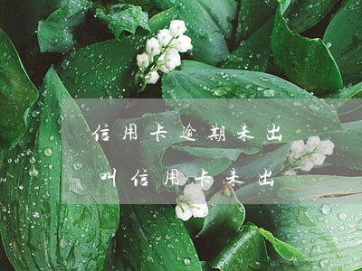 信用卡逾期未出賬單會(huì)怎樣(什么叫信用卡未出賬單)