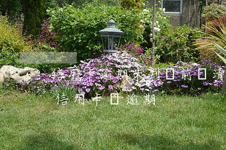 信用卡逾期未判決前還清-為什么明明還了信用卡還逾期