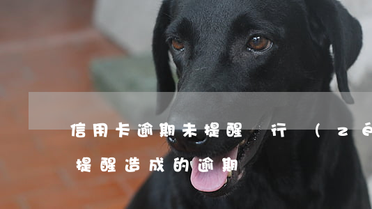信用卡逾期未提醒銀行責(zé)任(銀行不提醒造成的逾期)