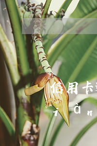 信用卡逾期未換會怎樣(半年前有逾期,現(xiàn)在能辦信用卡)