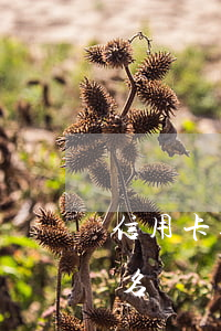 信用卡逾期未換證名單(信用卡逾期被加入黑名單還能恢復(fù)嗎)