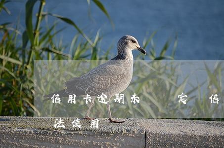 信用卡逾期未歸還定義(信用卡逾期歸還后無法使用)