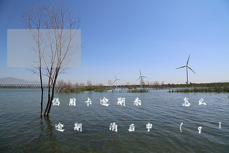 信用卡逾期未歸還怎么處理(嚴(yán)重逾期還清后申請(qǐng)信用卡)