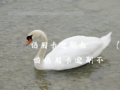 信用卡逾期未歸還會(huì)有什么后果(借信用卡逾期不還會(huì)是什么后果)