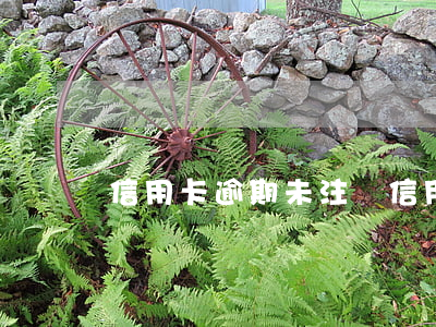 信用卡逾期未注銷(信用卡逾期未注銷怎么辦)