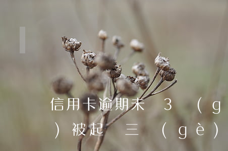 信用卡逾期未滿3個(gè)月會(huì)被起訴 三個(gè)月信用卡逾期后果