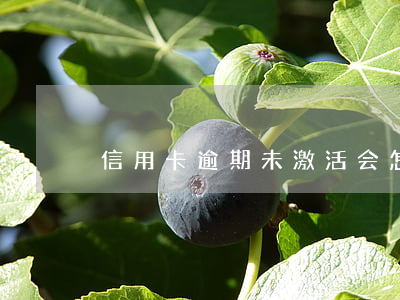 信用卡逾期未激活会怎样