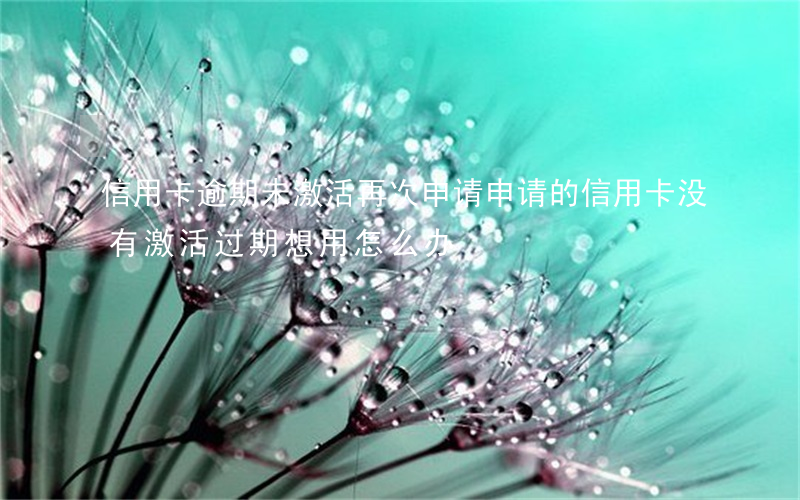 信用卡逾期未激活再次申请(申请的信用卡没有激活过期想用怎么办)