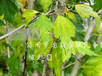 信用卡逾期未被民事訴訟(因服刑信用卡逾期被起訴)