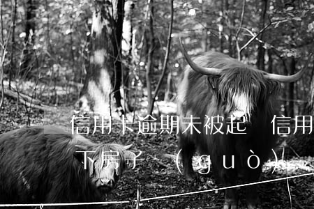 信用卡逾期未被起訴(信用卡逾期未被起訴,名下房子過(guò)戶有影響嗎?)