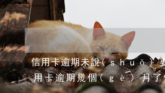 信用卡逾期未說(shuō)要起訴我(我信用卡逾期幾個(gè)月了他們說(shuō)要告我上法院)