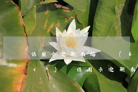 信用卡逾期未起訴會(huì)被凍結(jié)嗎(信用卡逾期未起訴會(huì)被凍結(jié)嗎)