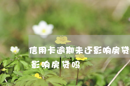 信用卡逾期未还影响房贷吗(信用卡逾期未还影响房贷吗)
