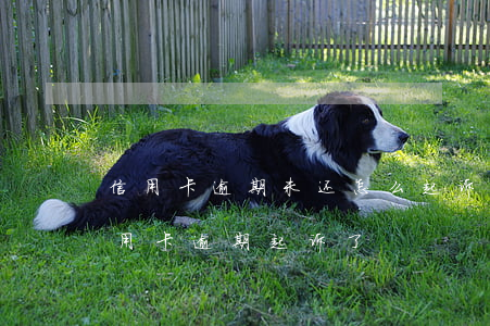 信用卡逾期未还怎么起诉(有律师联系我说信用卡逾期起诉了)