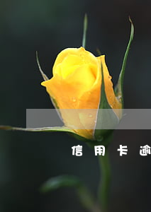 信用卡逾期未还案例 信用卡 逾期 后果