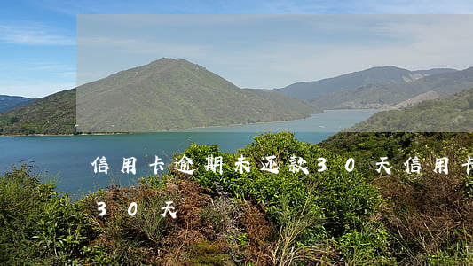信用卡逾期未还款30天(信用卡逾期未还款30天)