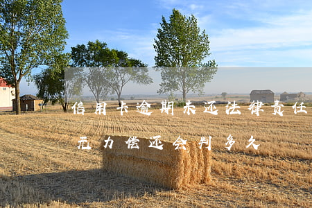 信用卡逾期未还法律责任(银行信用卡逾期了无力偿还会判多久)