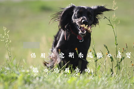 信用卡逾期未还能办房贷吗(银行贷款逾期还能办信用卡吗)