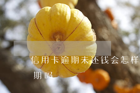信用卡逾期未还钱会怎样(信用卡没还完算逾期吗)